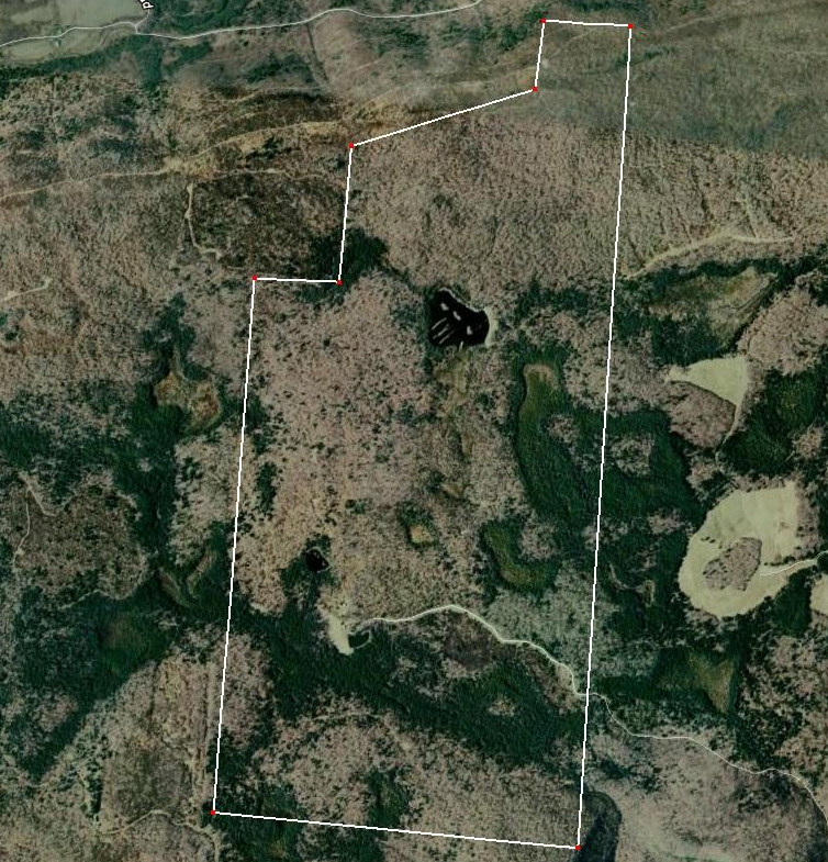 Aerial08.jpg