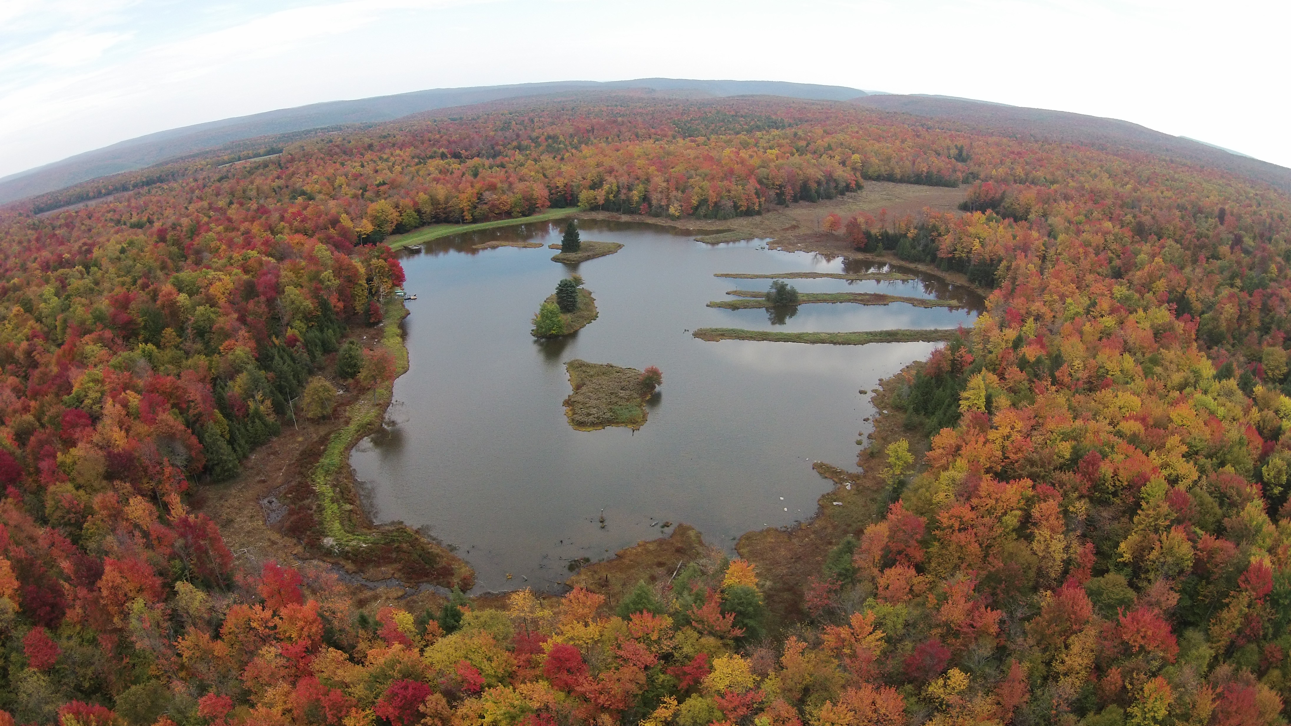 DJI01123.JPG